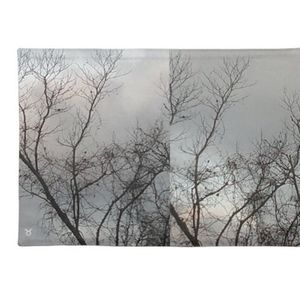 ♉ 🛏🛌AstrologicWear TAU♉RUS Pillowcase